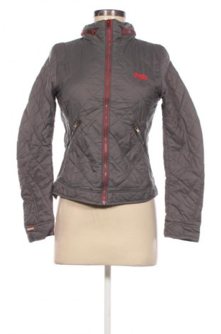 Kurtka damska Superdry, Rozmiar XS, Kolor Szary, Cena 124,99 zł