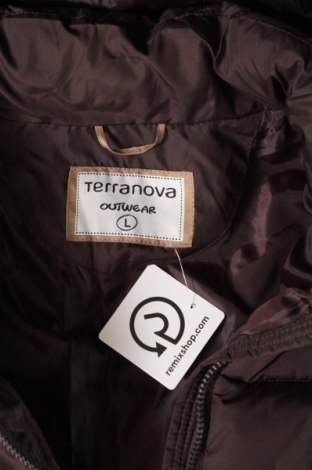 Damenjacke Terranova, Größe L, Farbe Braun, Preis € 40,36