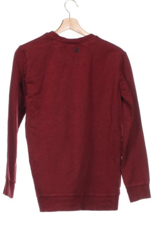 Kinder Shirt, Größe 15-18y/ 170-176 cm, Farbe Rot, Preis € 4,99