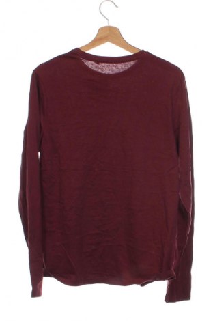 Kinder Shirt Here+There, Größe 15-18y/ 170-176 cm, Farbe Rot, Preis € 5,49