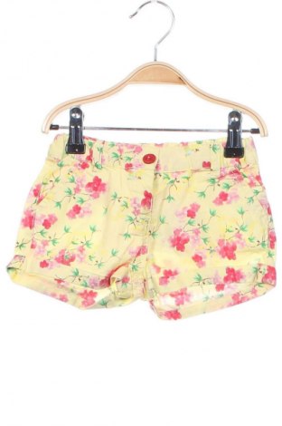 Kinder Shorts Fagottino By Oviesse, Größe 18-24m/ 86-98 cm, Farbe Mehrfarbig, Preis 2,99 €