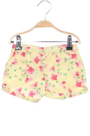 Kinder Shorts Fagottino By Oviesse, Größe 18-24m/ 86-98 cm, Farbe Mehrfarbig, Preis € 3,99