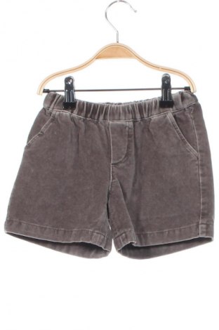 Kinder Shorts Nanos, Größe 3-4y/ 104-110 cm, Farbe Grau, Preis € 10,11