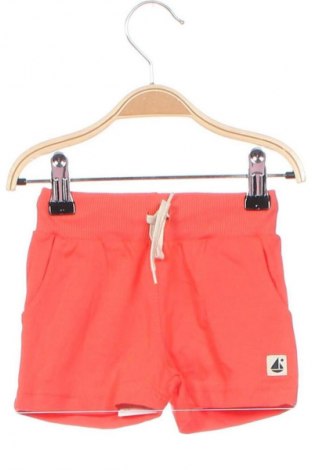 Kinder Shorts Pinokkio, Größe 6-9m/ 68-74 cm, Farbe Orange, Preis 6,49 €