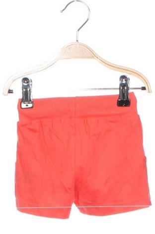 Kinder Shorts Pinokkio, Größe 6-9m/ 68-74 cm, Farbe Orange, Preis 4,49 €