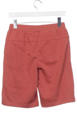 Kinder Shorts S.Oliver, Größe 12-13y/ 158-164 cm, Farbe Braun, Preis € 9,49