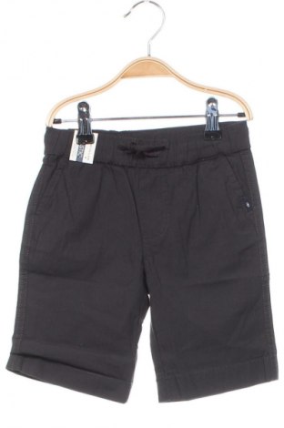 Kinder Shorts Tom Tailor, Größe 18-24m/ 86-98 cm, Farbe Grau, Preis 5,49 €