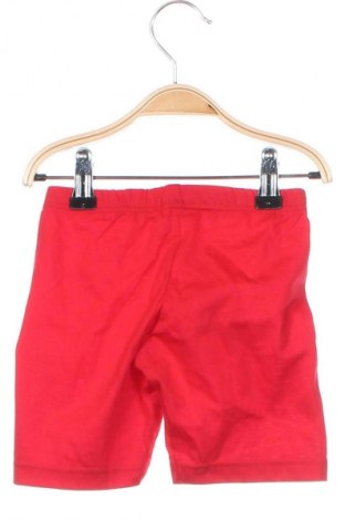 Kinder Shorts Trigema, Größe 9-12m/ 74-80 cm, Farbe Rot, Preis € 5,49