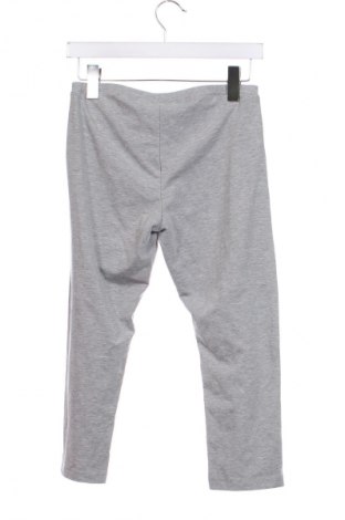 Kinderlegging, Größe 15-18y/ 170-176 cm, Farbe Grau, Preis € 3,79