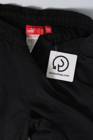 Pantaloni de trening, pentru copii Pepperts!, Mărime 10-11y/ 146-152 cm, Culoare Negru, Preț 56,12 Lei