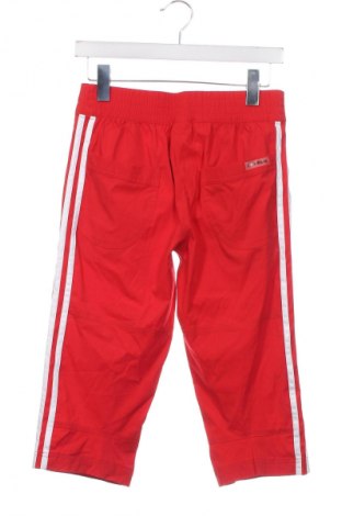 Kinder Sporthose Adidas, Größe 12-13y/ 158-164 cm, Farbe Rot, Preis € 15,31