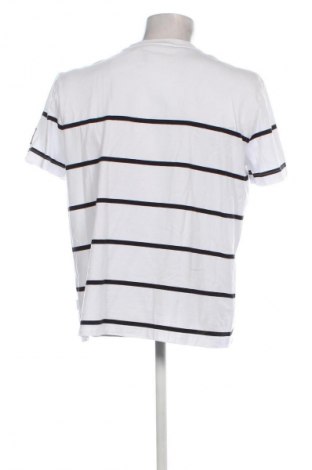 Herren T-Shirt Calvin Klein, Größe XXL, Farbe Weiß, Preis € 26,49