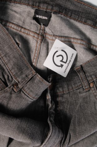 Herren Jeans Watson's, Größe L, Farbe Grau, Preis € 11,41