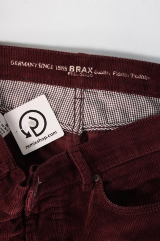 Herren Cordhose Brax, Größe L, Farbe Rot, Preis 43,14 €