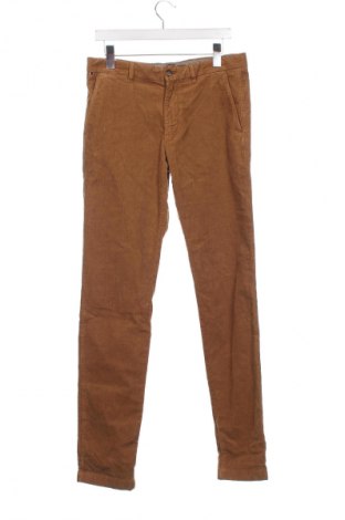 Herren Cordhose Tommy Hilfiger, Größe M, Farbe Braun, Preis 43,99 €