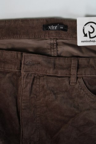 Herren Cordhose Xlnt, Größe XL, Farbe Braun, Preis € 7,99