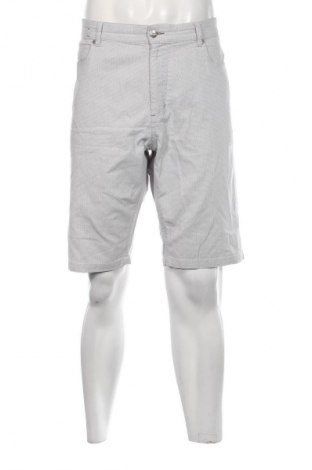 Herren Shorts, Größe L, Farbe Grau, Preis € 23,81