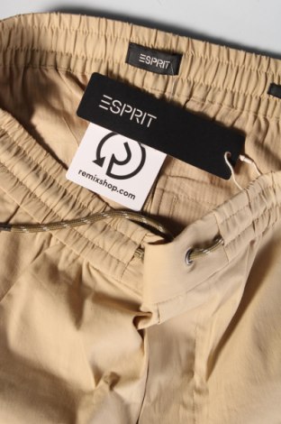 Herren Shorts Esprit, Größe M, Farbe Beige, Preis 8,99 €