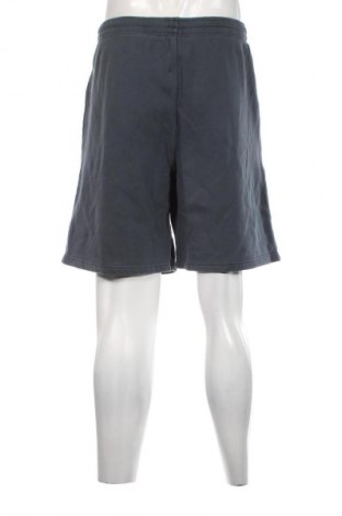 Herren Shorts Superdry, Größe XXL, Farbe Grün, Preis € 39,69