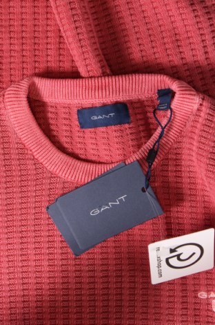 Herrenpullover Gant, Größe S, Farbe Rosa, Preis € 78,49