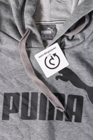 Herren Sweatshirt PUMA, Größe M, Farbe Grau, Preis 38,27 €