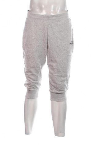 Herren Sporthose PUMA, Größe M, Farbe Grau, Preis 15,99 €