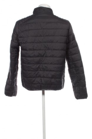 Herrenjacke Bexleys, Größe L, Farbe Grau, Preis € 23,99