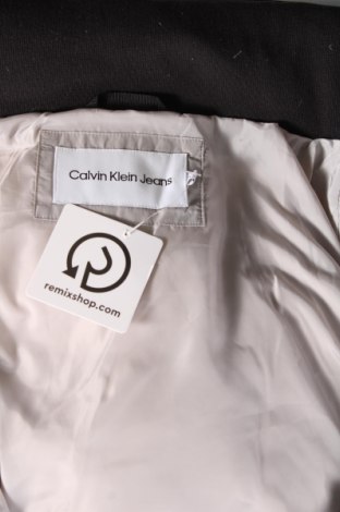 Ανδρικό μπουφάν Calvin Klein Jeans, Μέγεθος M, Χρώμα Γκρί, Τιμή 106,99 €