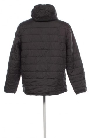 Herrenjacke Peter Storm, Größe XL, Farbe Grau, Preis 17,79 €