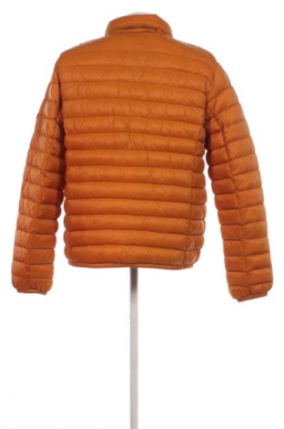 Herrenjacke Teddy Smith, Größe 3XL, Farbe Gelb, Preis € 54,49