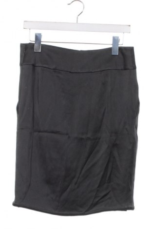 Sukňa Alexander Wang, Veľkosť XXS, Farba Sivá, Cena  15,96 €