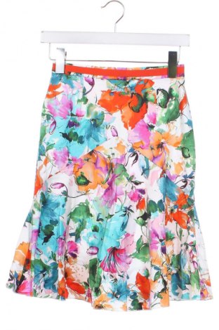 Fustă Blugirl, Mărime XS, Culoare Multicolor, Preț 20,99 Lei