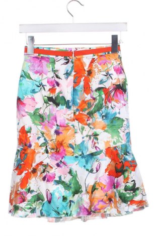 Fustă Blugirl, Mărime XS, Culoare Multicolor, Preț 20,99 Lei