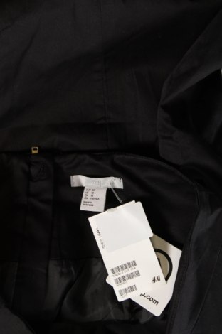 Φούστα H&M, Μέγεθος M, Χρώμα Μαύρο, Τιμή 9,99 €