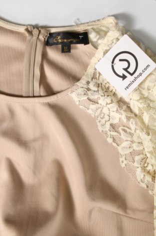 Kleid, Größe XL, Farbe Beige, Preis 14,99 €