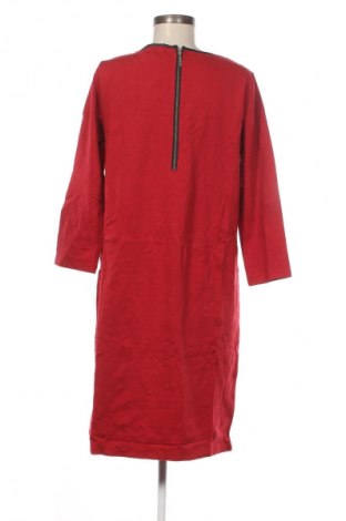 Kleid Balsamik, Größe M, Farbe Rot, Preis 5,99 €