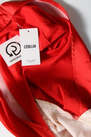 Kleid CEDELAR, Größe M, Farbe Mehrfarbig, Preis € 21,99