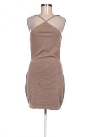 Kleid Calvin Klein, Größe M, Farbe Beige, Preis 94,99 €