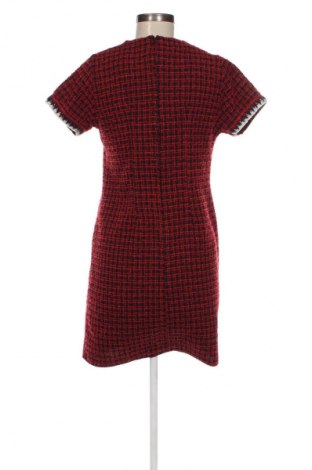 Kleid Dorothy Perkins, Größe L, Farbe Mehrfarbig, Preis 6,49 €