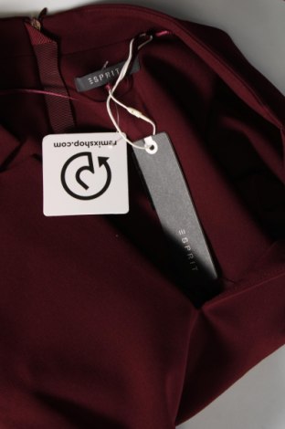 Kleid Esprit, Größe L, Farbe Rot, Preis € 41,49