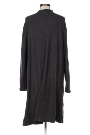 Kleid Gina, Größe XXL, Farbe Grau, Preis € 6,79