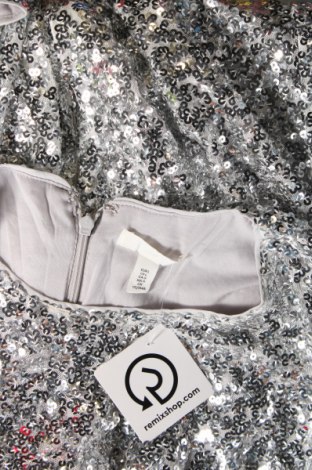 Kleid H&M, Größe L, Farbe Silber, Preis € 16,29