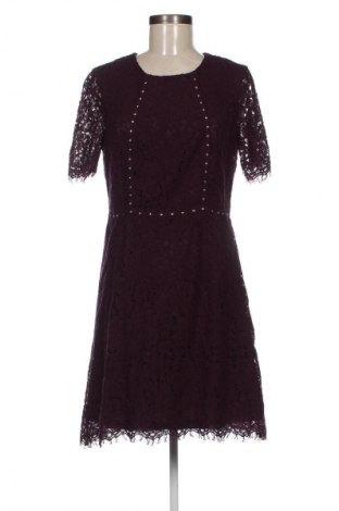 Kleid Morgan, Größe L, Farbe Lila, Preis 16,99 €