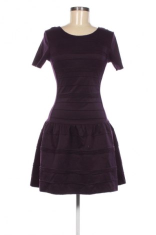 Kleid Nikkie, Größe XS, Farbe Lila, Preis € 14,49