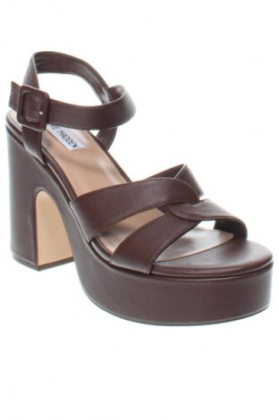 Σανδάλια Steve Madden, Μέγεθος 43, Χρώμα Καφέ, Τιμή 31,79 €