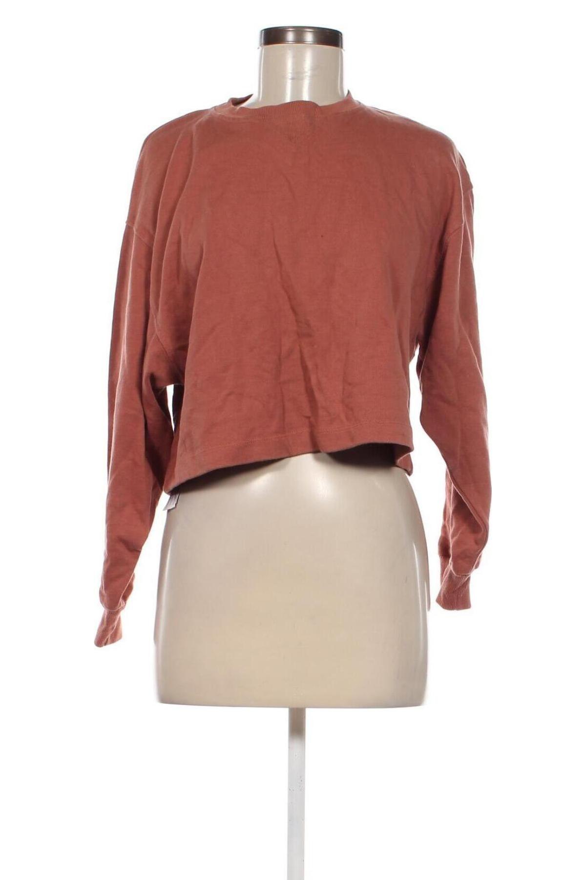 Damen Shirt, Größe S, Farbe Braun, Preis € 3,29