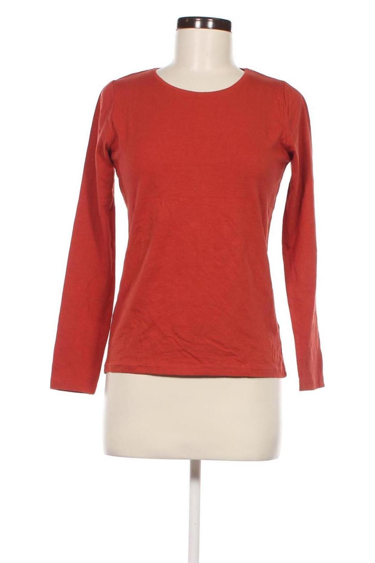 Damen Shirt Blue Motion, Größe S, Farbe Orange, Preis € 2,49