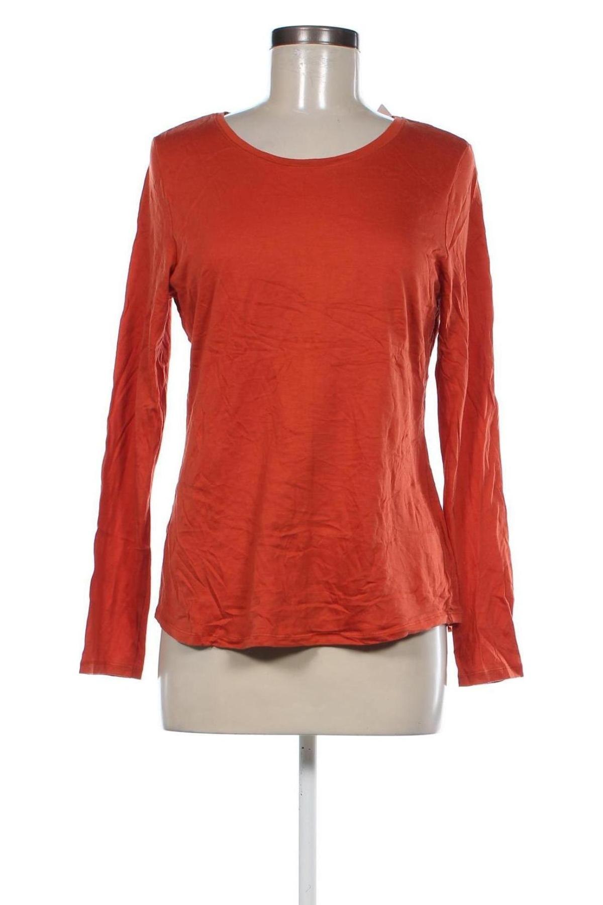 Damen Shirt Calida, Größe S, Farbe Orange, Preis 33,40 €