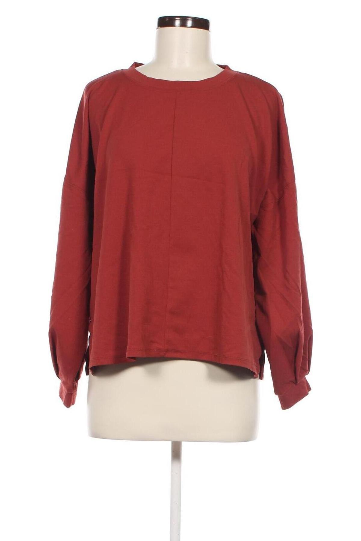 Damen Shirt Colloseum, Größe M, Farbe Braun, Preis € 2,99