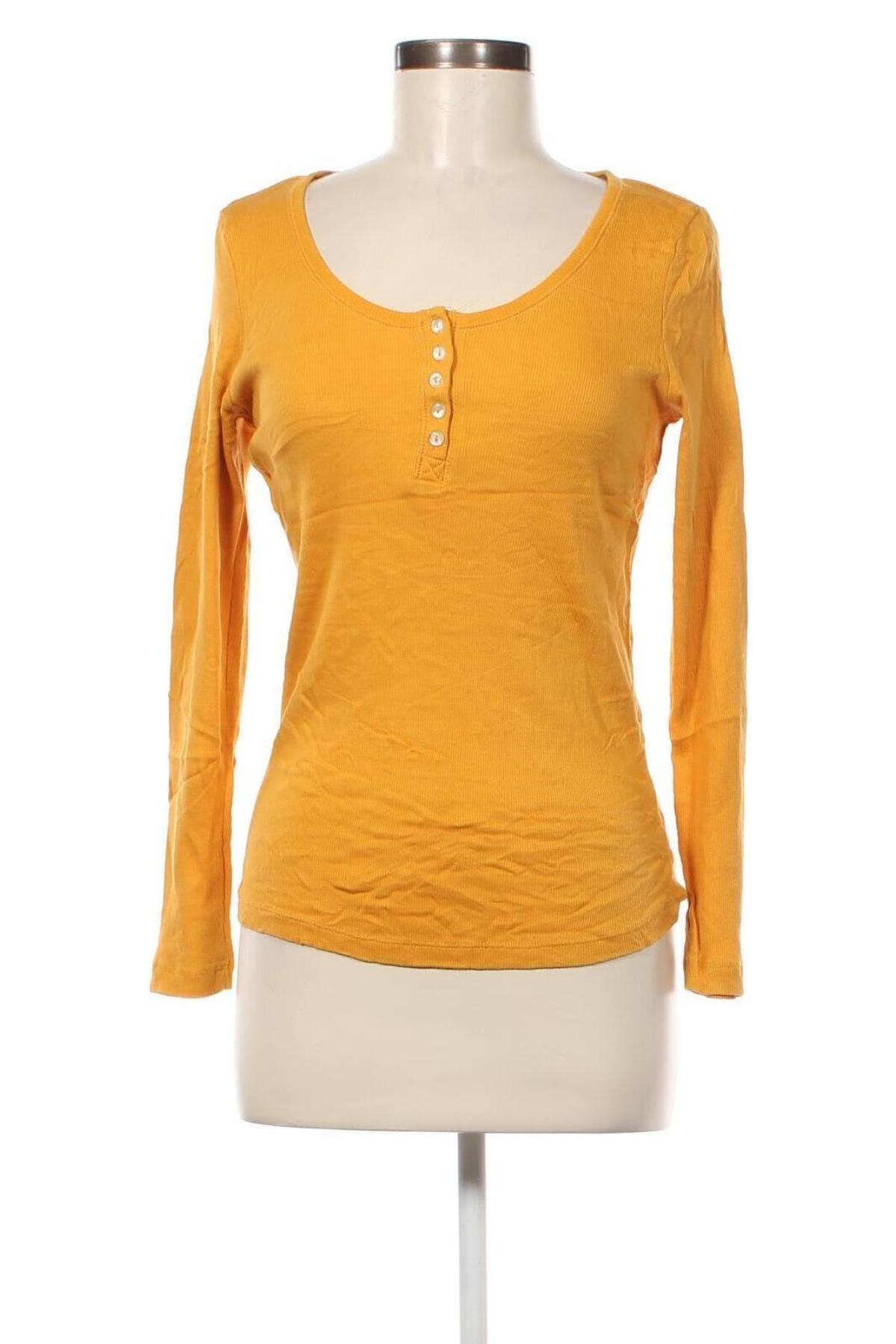 Damen Shirt Esmara, Größe L, Farbe Orange, Preis € 3,99